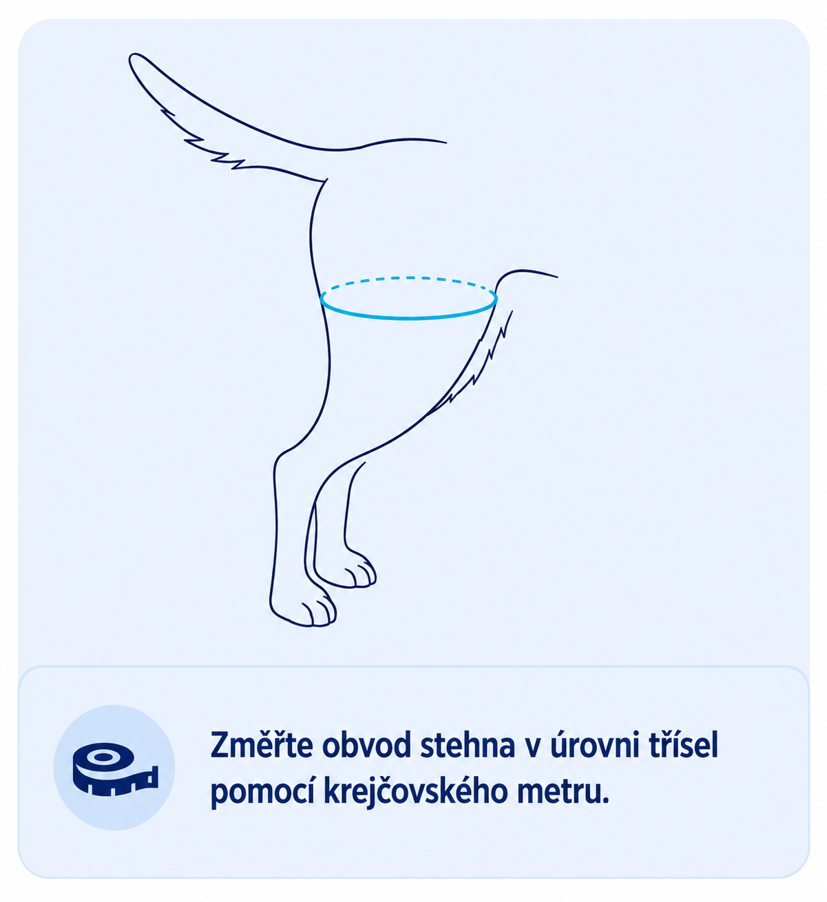 BT Up - podpůrný postroj pánevních končetin