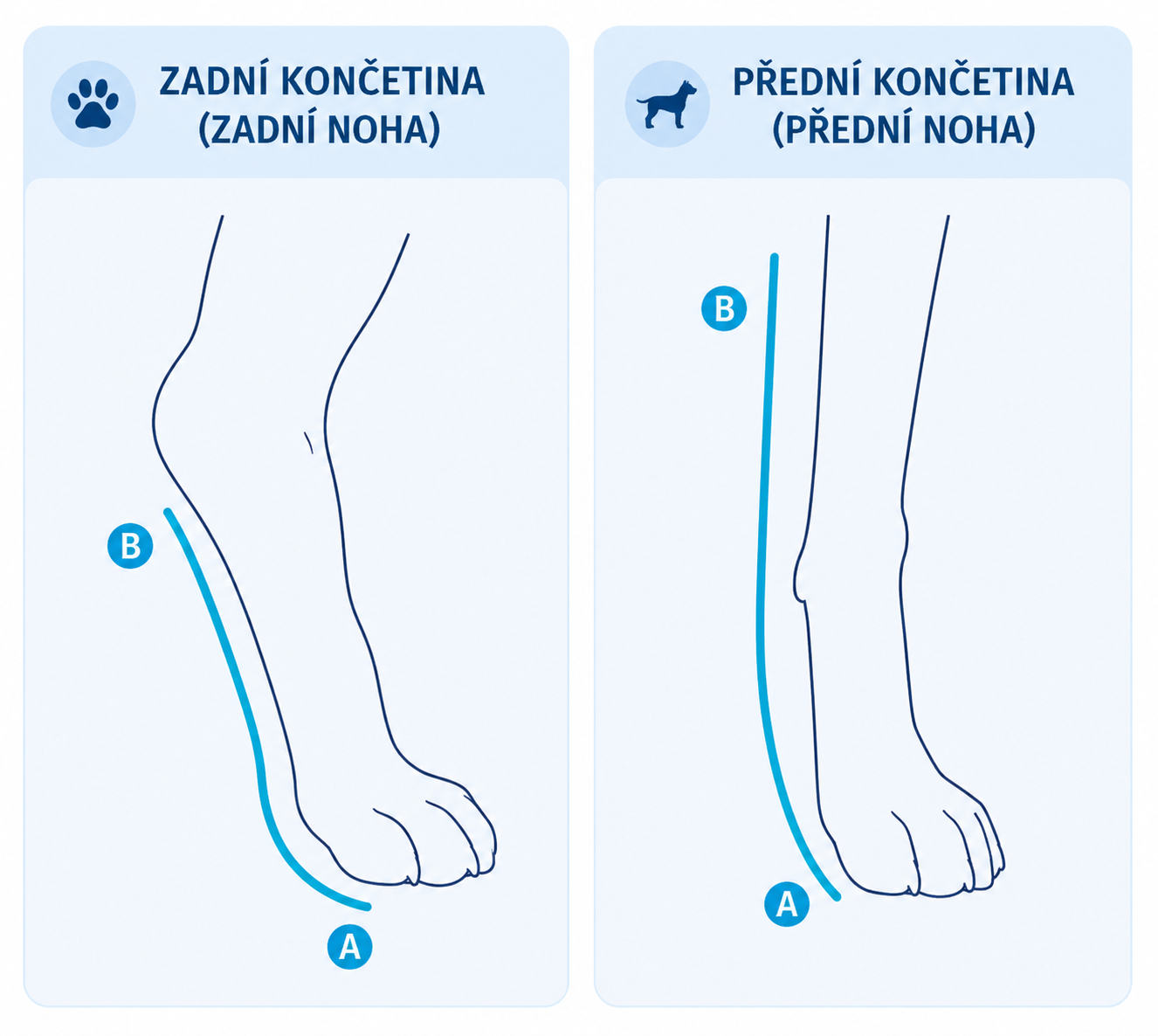BT Splint - ortéza na zápěstí a hlezenní kloub