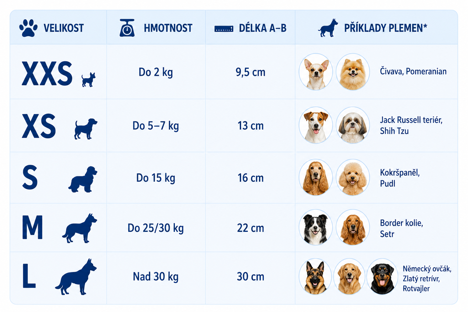 BT Splint - ortéza na zápěstí a hlezenní kloub