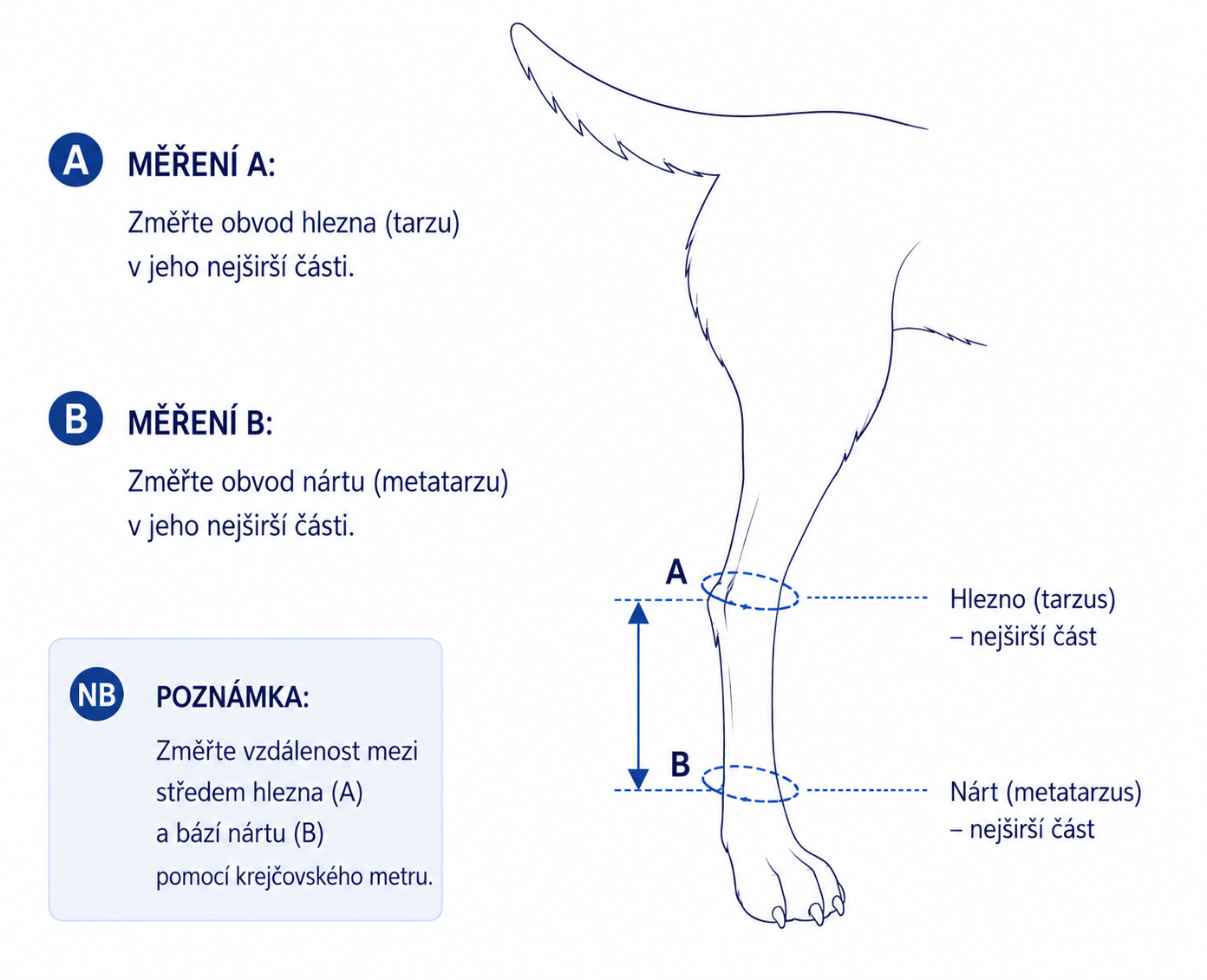 Balto Flexor - nastavitelná ortéza hlezenního kloubu
