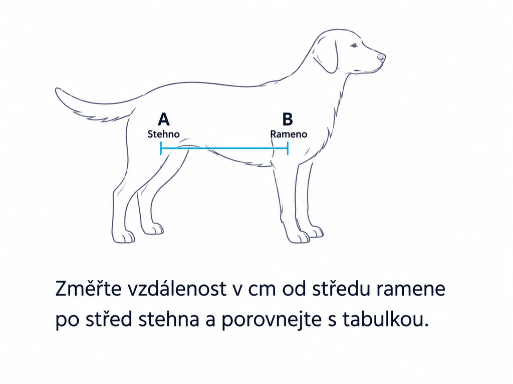 BT Body Lift - celotělový podpůrný postroj