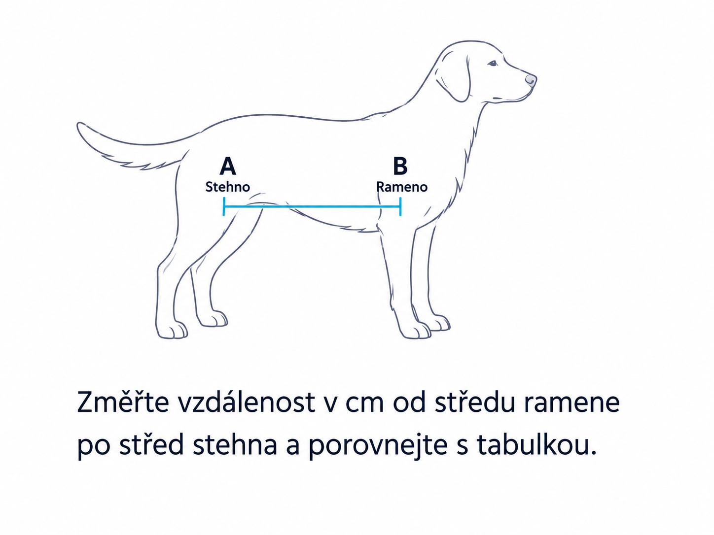 BT Body Lift - celotělový podpůrný postroj