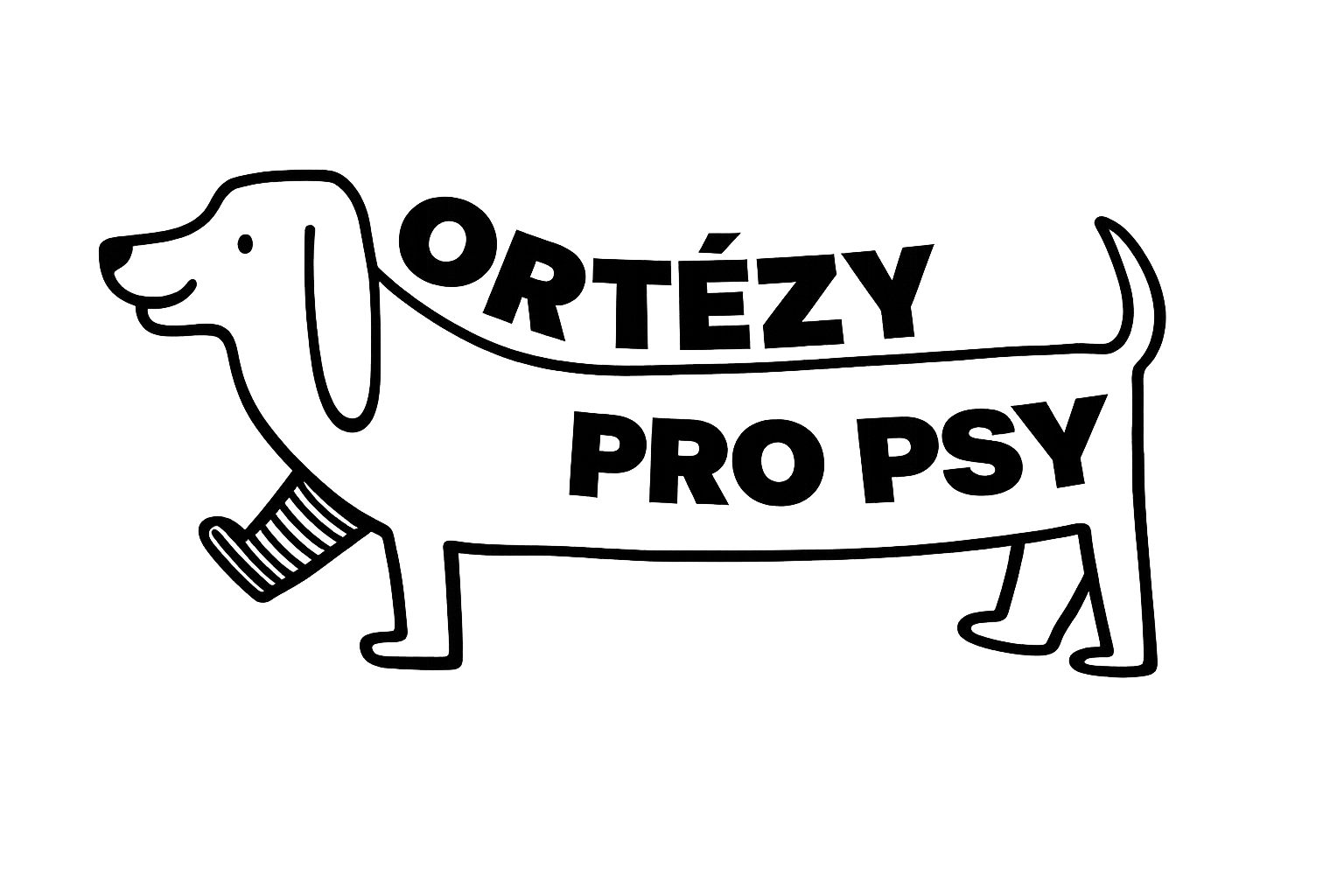 Ortézy pro psy
