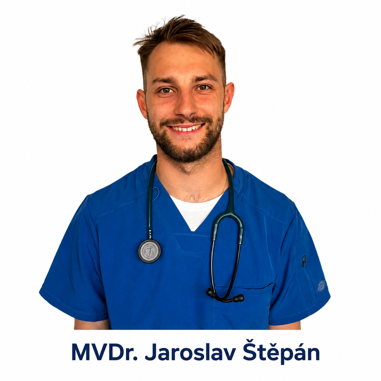 Online konzultace s veterinárním lékařem